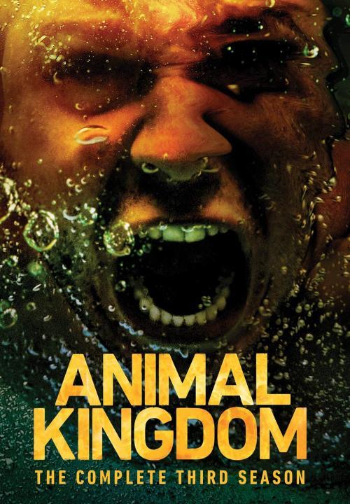 مسلسل Animal Kingdom الموسم الثالث الحلقة 8